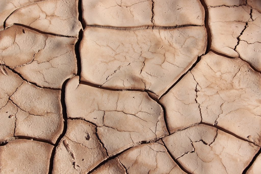 como-el-cambio-climático-ha-afectado-al-café - Cultura Cafeína